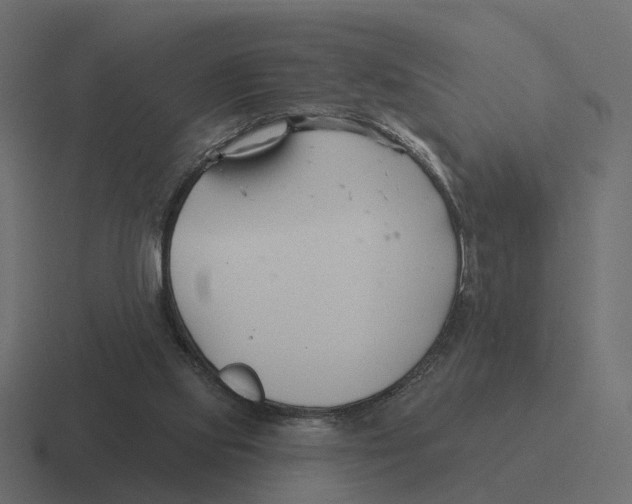 X0000116340061200912291620