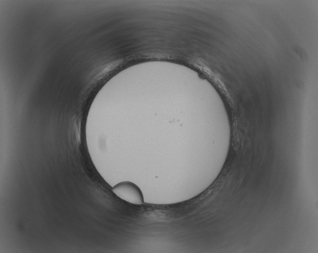 X0000116340062200912291620