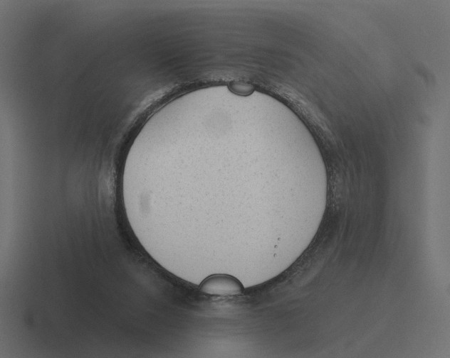 X0000116340064200912291620