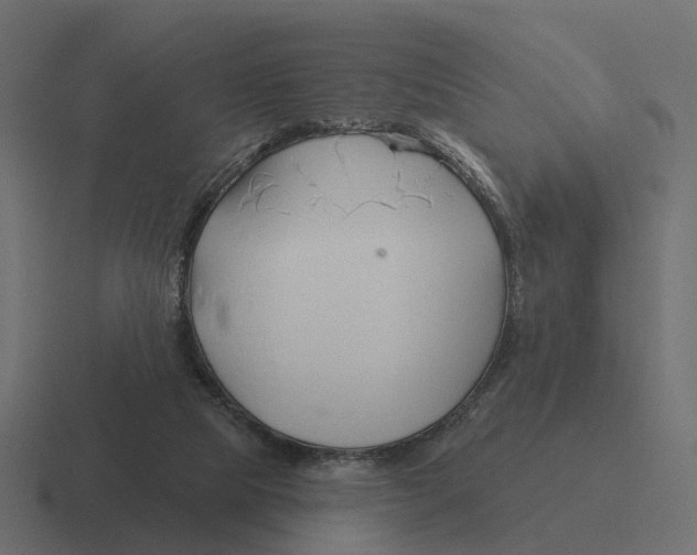 X0000116340065200912291620