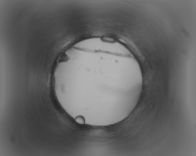 X0000116340066200912291620