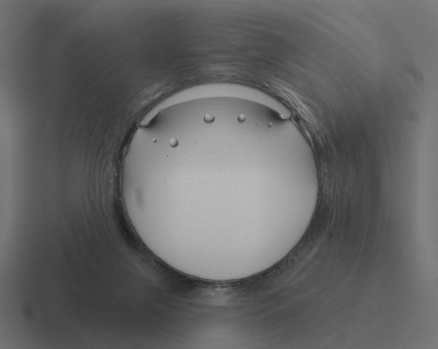 X0000116340071200912291620