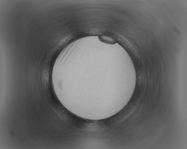 X0000116340072200912291620