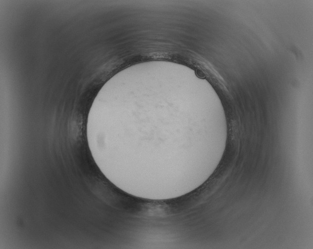 X0000116340073200912291620