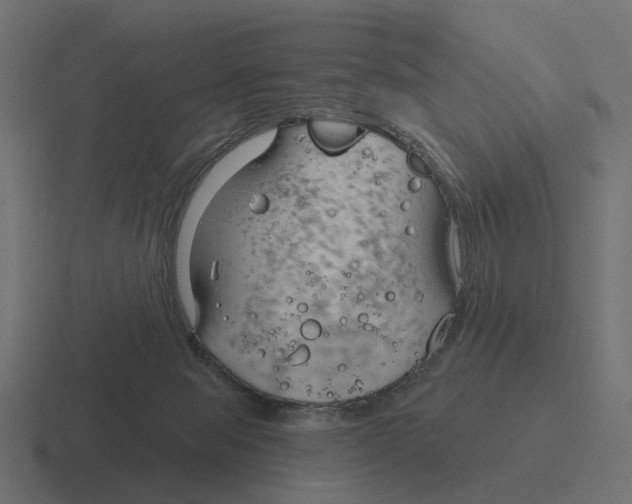 X0000116340077200912291620