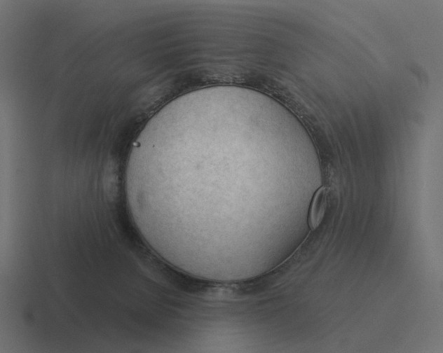 X0000116340080200912291620