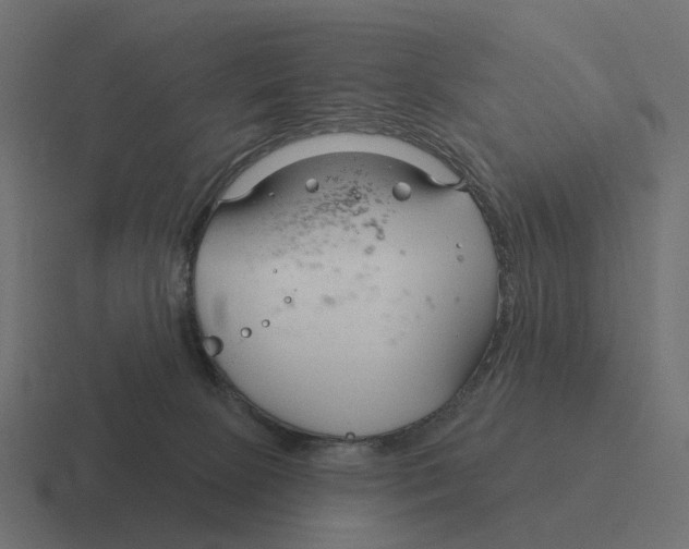 X0000116340081200912291620