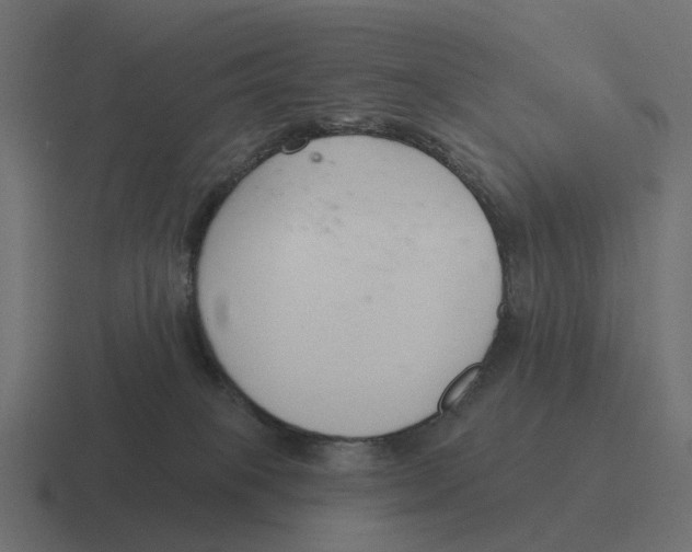 X0000116340085200912291620