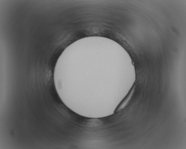 X0000116340087200912291620