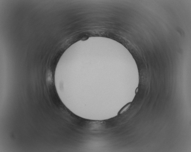 X0000116340089200912291620