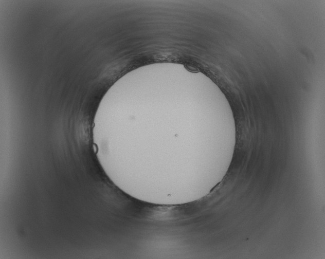 X0000116340090200912291620