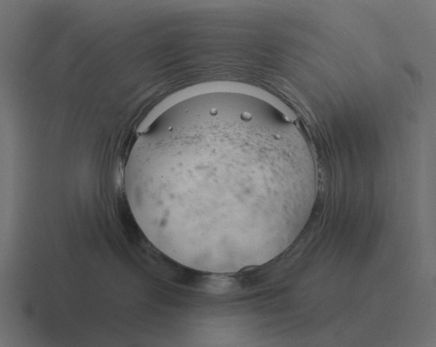 X0000116340095200912291620