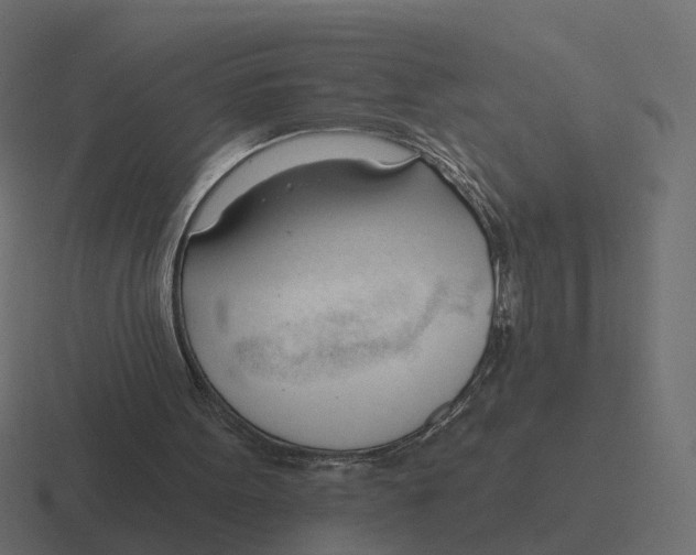 X0000116340099200912291620