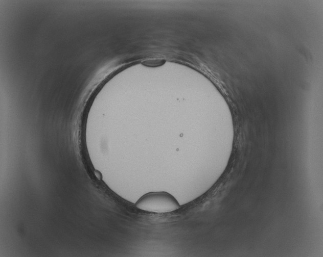 X0000116340103200912291620