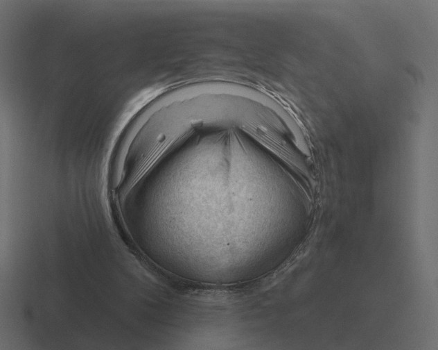 X0000116340104200912291620