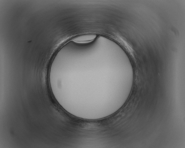 X0000116340107200912291620