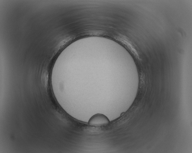 X0000116340110200912291620