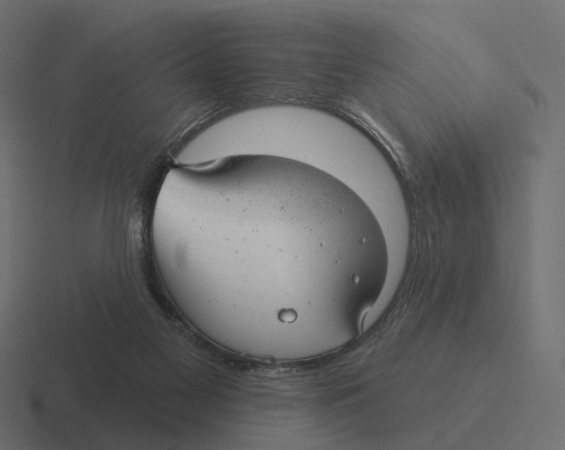 X0000116340117200912291620