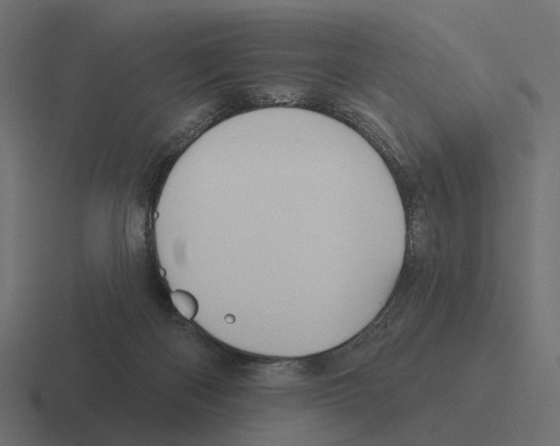 X0000116340122200912291619