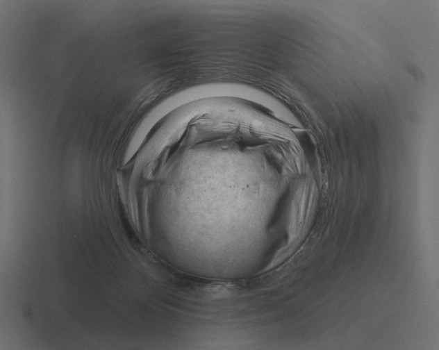 X0000116340124200912291619