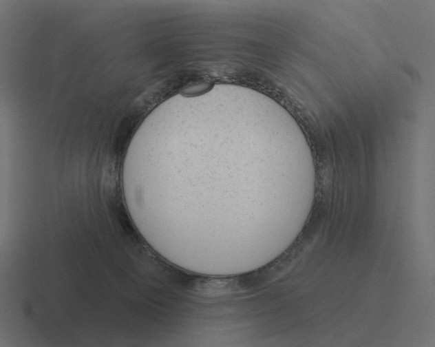 X0000116340129200912291619