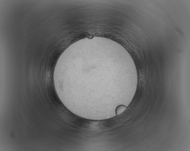 X0000116340130200912291619