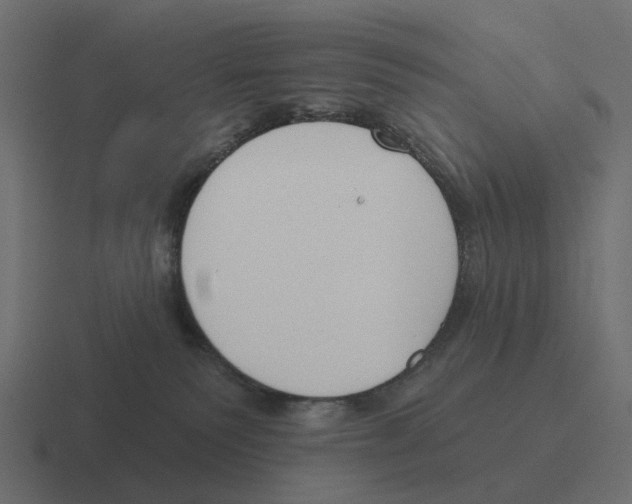 X0000116340135200912291619