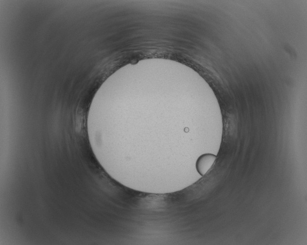 X0000116340138200912291619