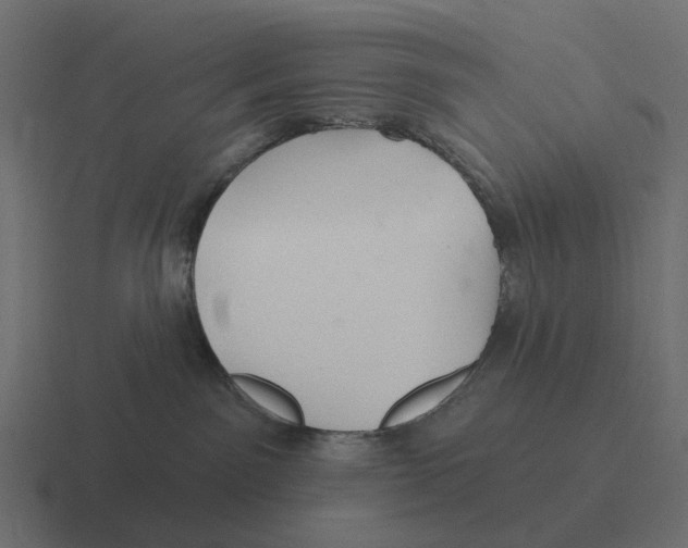 X0000116340141200912291619