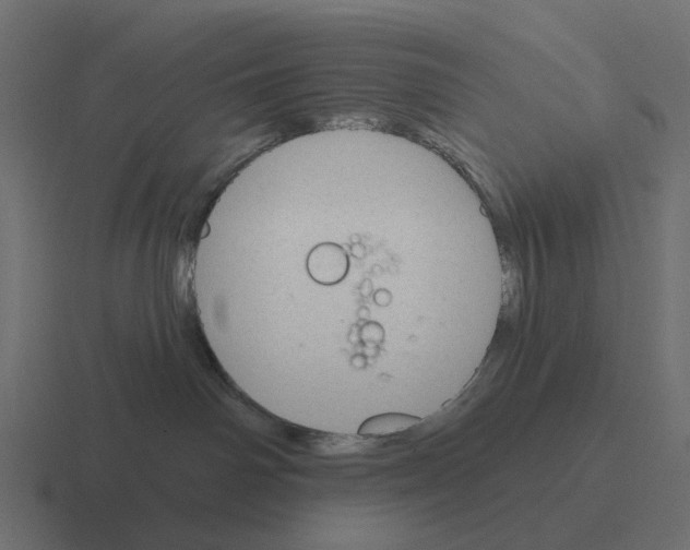 X0000116340142200912291619