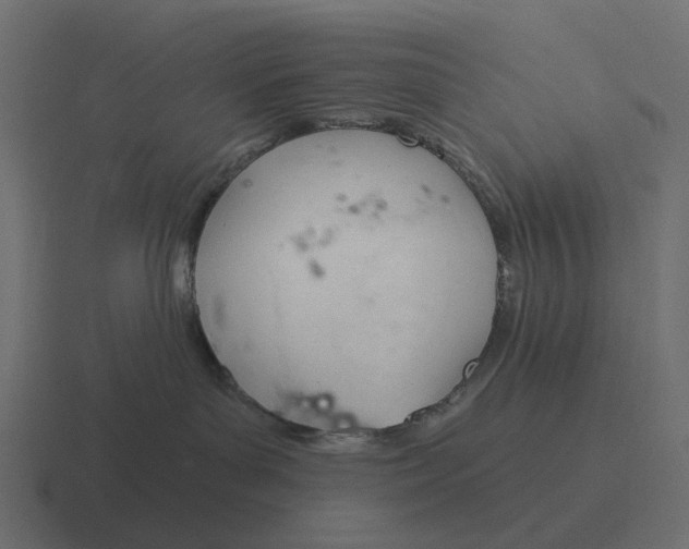 X0000116340143200912291619