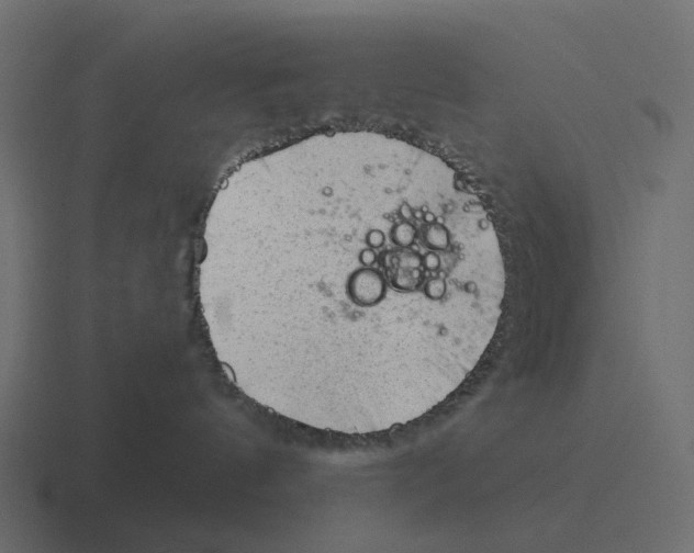 X0000116340144200912291619