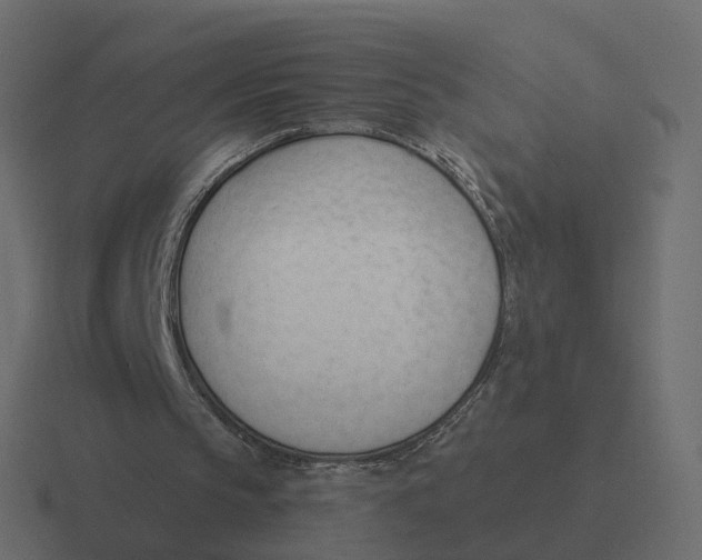 X0000116340145200912291619