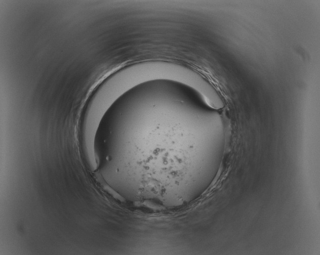 X0000116340146200912291619