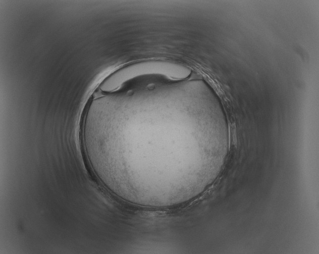 X0000116340147200912291619