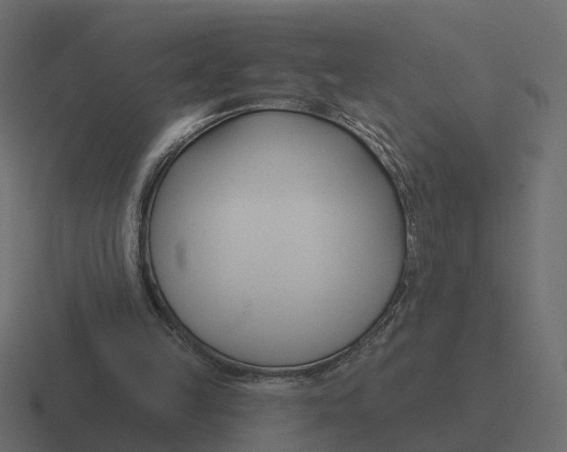 X0000116340149200912291619