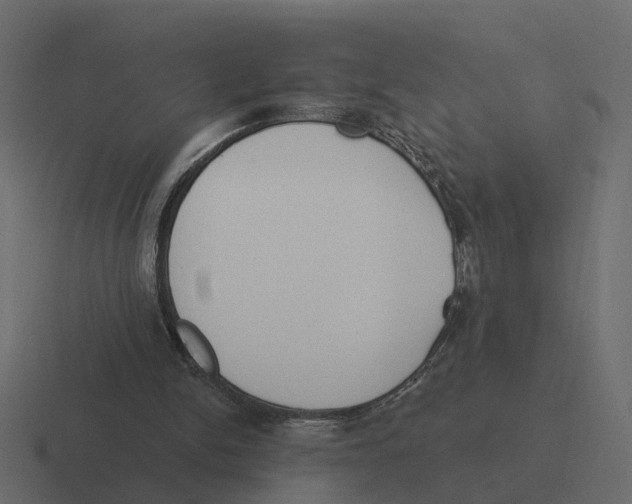 X0000116340150200912291619