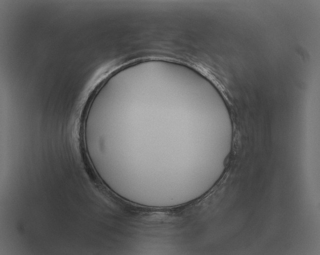 X0000116340151200912291619