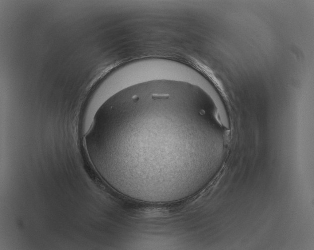 X0000116340154200912291619