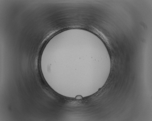 X0000116340155200912291619