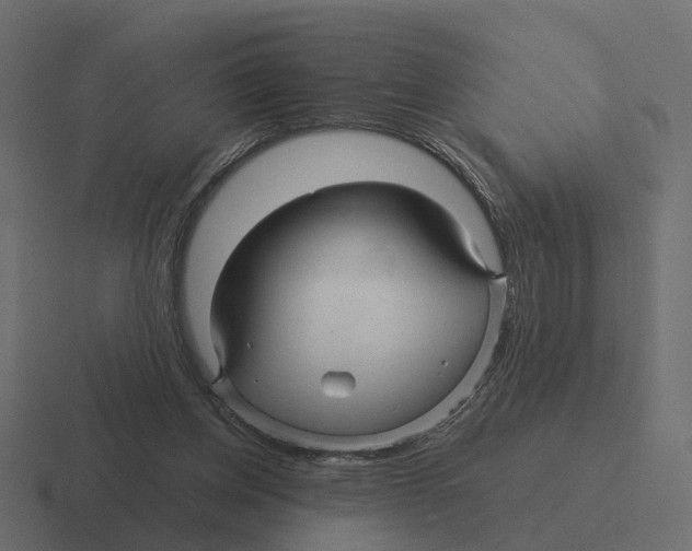 X0000116340158200912291619