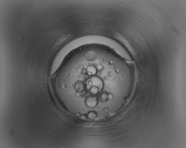 X0000116340161200912291619