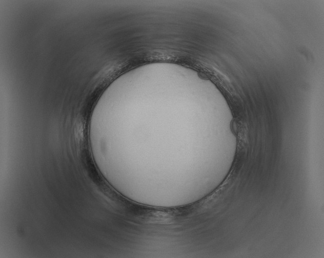 X0000116340166200912291619