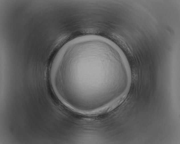 X0000116340167200912291619