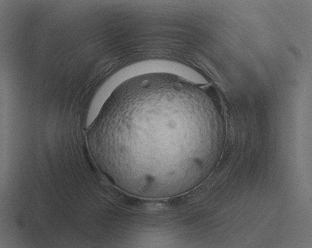 X0000116340169200912291619