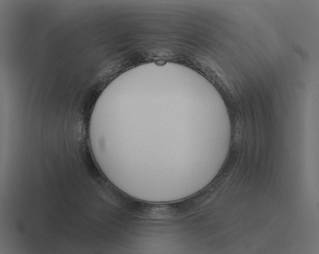 X0000116340173200912291619