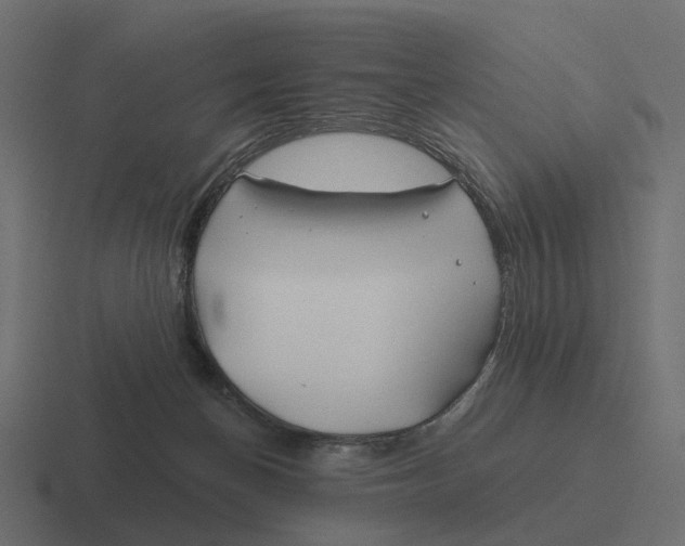 X0000116340174200912291619