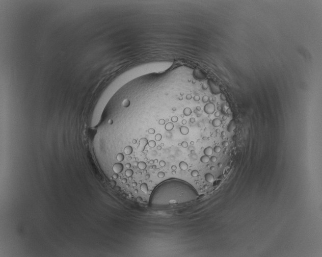 X0000116340175200912291619