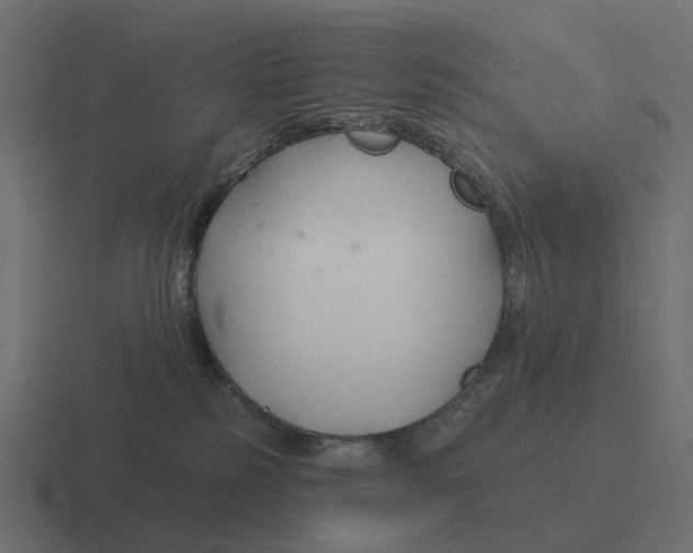 X0000116340185200912291619