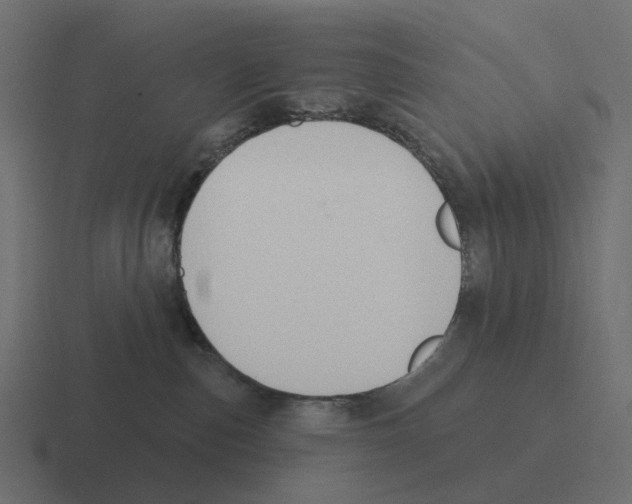 X0000116340187200912291619